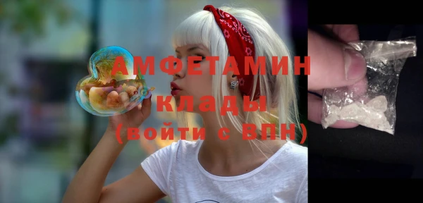 ГАЛЛЮЦИНОГЕННЫЕ ГРИБЫ Аркадак