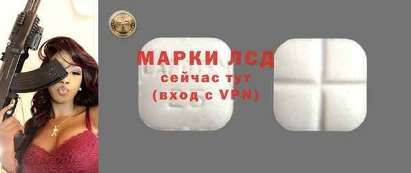 ГАЛЛЮЦИНОГЕННЫЕ ГРИБЫ Аркадак