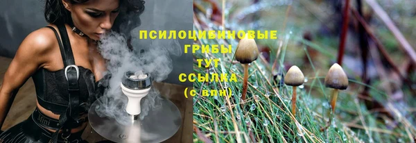 мяу мяу кристалл Арсеньев