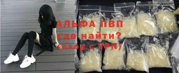 ГАЛЛЮЦИНОГЕННЫЕ ГРИБЫ Аркадак