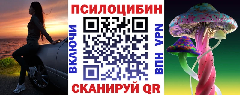 Галлюциногенные грибы Psilocybine cubensis Карачаевск