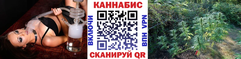 Конопля Ganja  наркота  Карачаевск 
